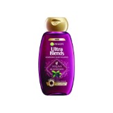 Garnier Ultra Blends Henna Blackberry Shampoo, 360ml