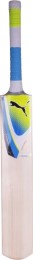 Puma Karbon 4000 English Willow Cricket Bat  (Short Handle, 1220 g)