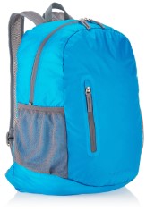 AmazonBasics Ultra thin Foldable Day Pack Light Blue, 35L