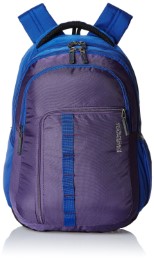 American Tourister 27 Lts Comet Purple Laptop Backpack (Comet 03_8901836135305)