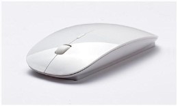 DIZIBLUE WW100 ultra slim wireless mouse 2.4ghz nano receiver for pc laptops windows mac