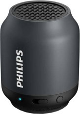 Philips Wireless Portable Speaker  (Mono Channel)
