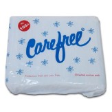 [Pantry] Carefree Sanitary Pads - Regular (20 pads)