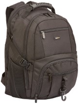 AmazonBasics Explorer Laptop Backpack - Fits Up To 15-Inch Laptops
