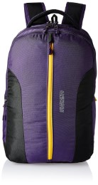 American Tourister Zap 2016 Polyester 28 Ltrs Purple Laptop Bag (AMT ZAP 2016 BACKPACK 07-PURPL)