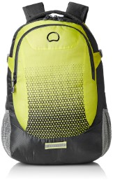Delsey Capetown 25 Ltrs Yellow Grey Backpak (00300360002)