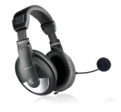 Speedlink Thebe Headphones with Mic (Black)