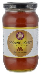 Organic Nation Wild Forrest Honey, 500g