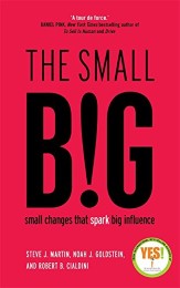 The small BIG: Small Changes that Spark Big Influence Rs. 99 at Amazon