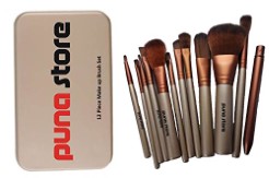 Cosmetic Makeup Brush Set - 12 Piece Set with Storage Box