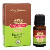 Inveda Eucalyptus Essential Oil, 10ml