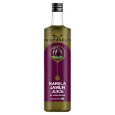 Nourish Vitals Karela Jamun Juice, 500ml - No Added Sugar