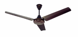 Bajaj Speedster 1200 mm Economy Ceiling Fan (Brown) Rs. 1499 at Amazon