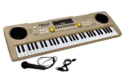Sunshine 61 Keys Piano with DC output, Mobile Charging, USB and Microphone Included