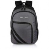 Amazon Brand - Solimo Travel Backpack (29 litres, Metallic Grey & Coal Black)
