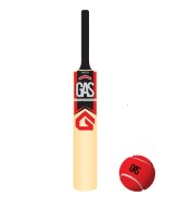 G.A.S Tapto Cricket Bat + Free Tennis Ball Rs. 198 at Snapdeal