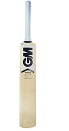 GM Octane F2 Striker Kashmir Willow Cricket Bat, Junior Size 2 Rs 389 At Amazon