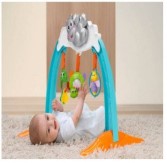 Chicco Hippo Gym Rs. 814 