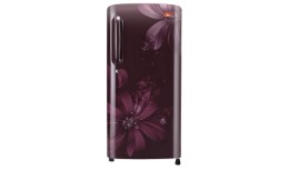 LG B201ASAN Direct-cool Single-door Refrigerator (190 Ltrs, 5 Star Rating, Scarlet Aster) at Amazon