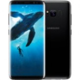 Samsung Galaxy S8 ( 64 GB)  (4 GB RAM)